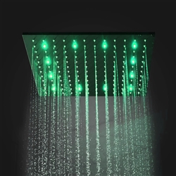 Aquavista Shower Head
